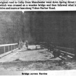 Bridge Across Ravine Spring Street (3)