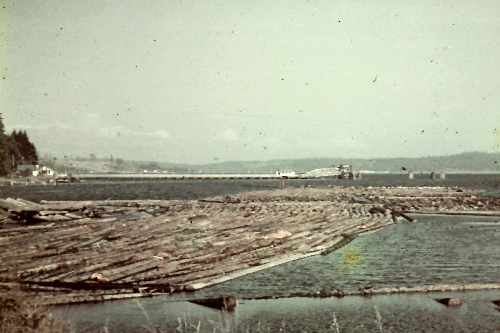 Logging at the beach, south of Harper dock.